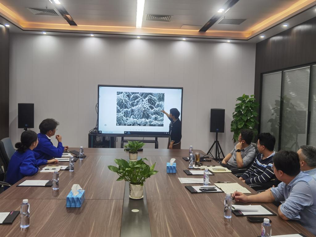 beats365(中国区)-唯一官方网站